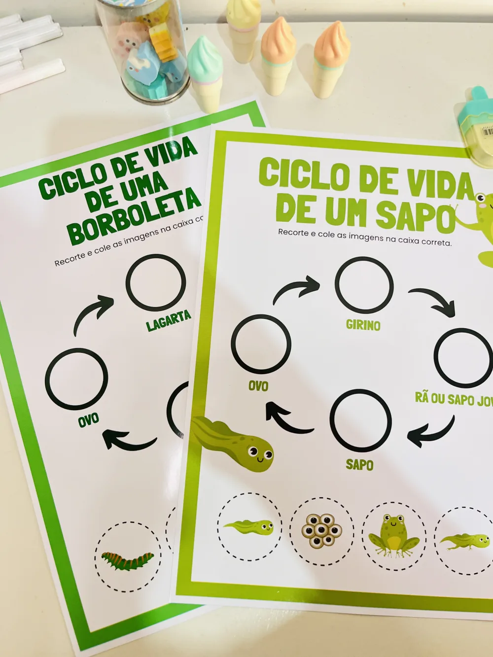 Ciclo de Vida — Pronto para Imprimir